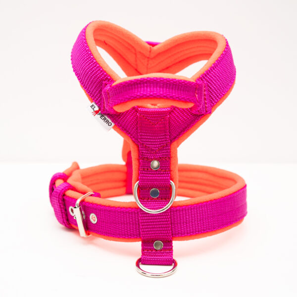 El Perro Sele 20-25 mm Selar Wonder Collars