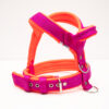 El Perro Sele 20-25 mm Selar Wonder Collars