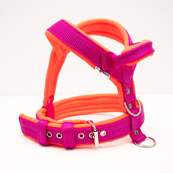 El Perro Sele 20-25 mm Selar Wonder Collars