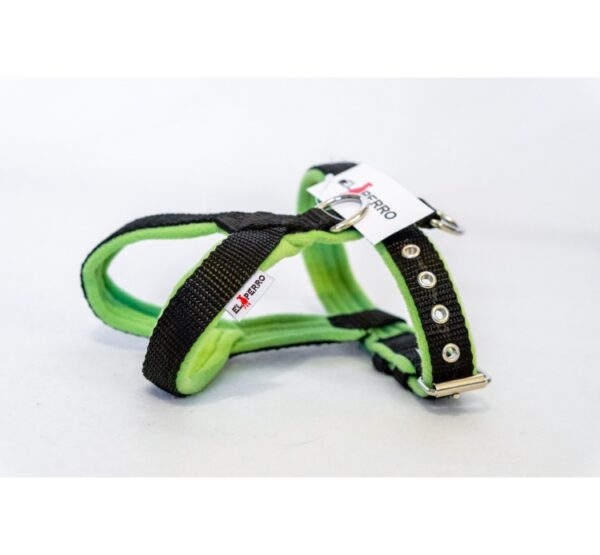 El Perro Sele 15 mm Selar Wonder Collars