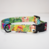 El Perro Funny Collection Klickhalsband 20 mm Halsband Wonder Collars