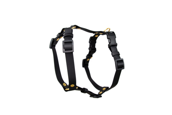 Accdog Biothane® Super Flex Y-sele 19 mm Selar Wonder Collars