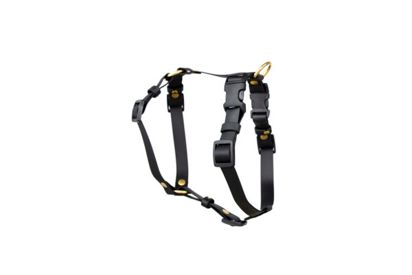 Accdog Biothane® Super Flex Y-sele 25 mm Selar Wonder Collars