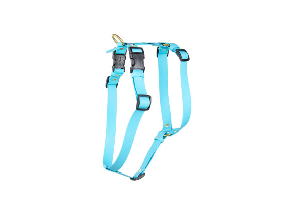 Accdog Biothane® Super Flex Y-sele 25 mm Selar Wonder Collars