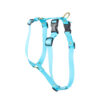 Accdog Biothane® Super Flex Y-sele 25 mm Selar Wonder Collars