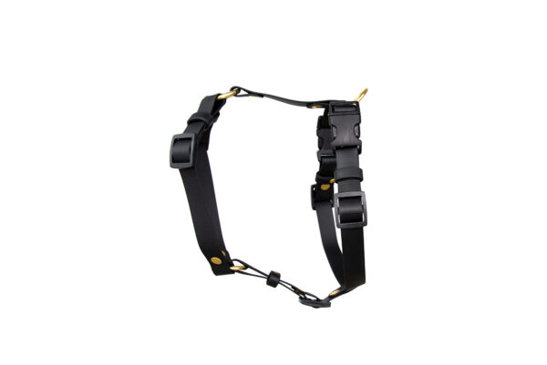 Accdog Biothane® Super Flex Y-sele 25 mm Selar Wonder Collars