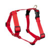 Accdog Biothane® Super Flex Y-sele 25 mm Selar Wonder Collars