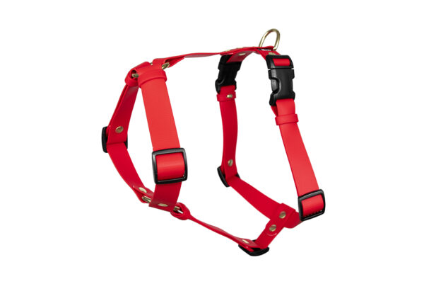 Accdog Biothane® Super Flex Y-sele 25 mm Selar Wonder Collars