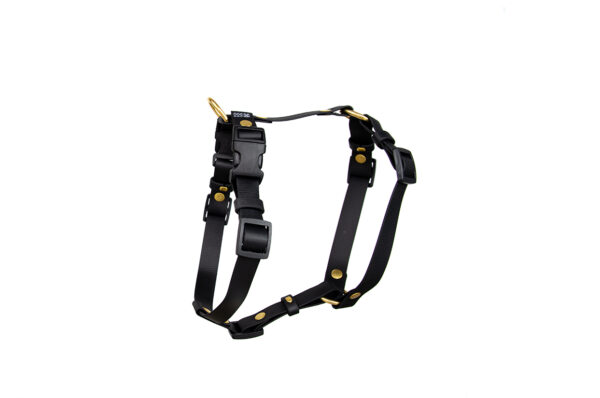 Accdog Biothane® Super Flex Y-sele 25 mm Selar Wonder Collars