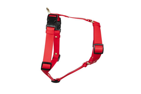 Accdog Biothane® Super Flex Y-sele 25 mm Selar Wonder Collars