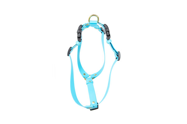 Accdog Biothane® Super Flex Y-sele 25 mm Selar Wonder Collars