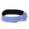 El Perro Juicy Helstryp Halsband 40 mm Halsband Wonder Collars