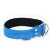 El Perro Juicy Helstryp Halsband 40 mm Halsband Wonder Collars