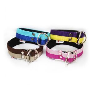 Juicy Double Color Helstryp Halsband Halsband Wonder Collars