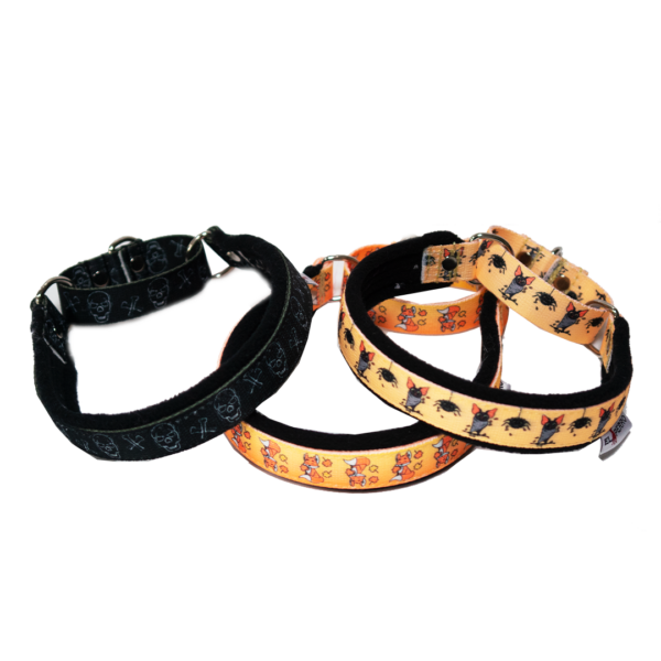 El Perro Funny Collection Martingale 25 mm Halsband Wonder Collars