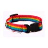 El Perro Klickhalsband 15-25 mm Fast halsband Wonder Collars