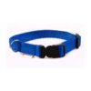 El Perro Klickhalsband 15-25 mm Fast halsband Wonder Collars