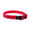 El Perro Klickhalsband 15-25 mm Fast halsband Wonder Collars