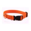 El Perro Klickhalsband 15-25 mm Fast halsband Wonder Collars