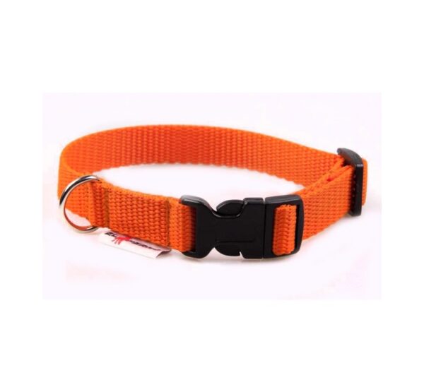 El Perro Klickhalsband 15-25 mm Fast halsband Wonder Collars