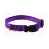 El Perro Klickhalsband 15-25 mm Fast halsband Wonder Collars