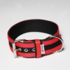 El Perro Juicy Strips Halsband 50 mm Halsband Wonder Collars