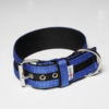 El Perro Juicy Strips Halsband 50 mm Halsband Wonder Collars