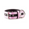 El Perro Juicy Strips Halsband 50 mm Halsband Wonder Collars