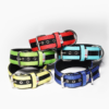 El Perro Juicy Strips Halsband 50 mm Halsband Wonder Collars