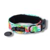 Warsaw Dog Fodrat Halsband 20 mm Halsband Wonder Collars