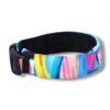 Warsaw Dog Fodrat Halsband 20 mm Halsband Wonder Collars