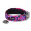 Warsaw Dog Fodrat Halsband 20 mm Halsband Wonder Collars