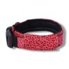 Warsaw Dog Fodrat Halsband 20 mm Halsband Wonder Collars