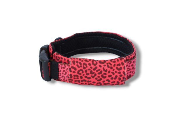 Warsaw Dog Fodrat Halsband 20 mm Halsband Wonder Collars