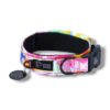 Warsaw Dog Fodrat Halsband 20 mm Halsband Wonder Collars