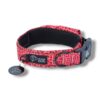 Warsaw Dog Fodrat Halsband 20 mm Halsband Wonder Collars