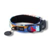 Warsaw Dog Fodrat Halsband 20 mm Halsband Wonder Collars