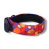 Warsaw Dog Fodrat Halsband 50 mm Halsband Wonder Collars