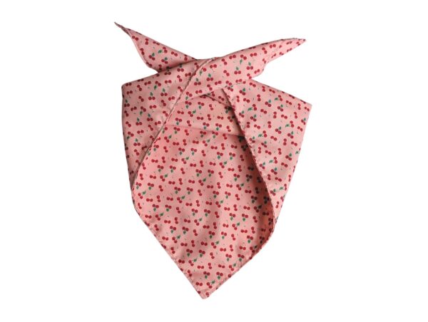 Warsaw Dog Scarf Hundkläder Wonder Collars