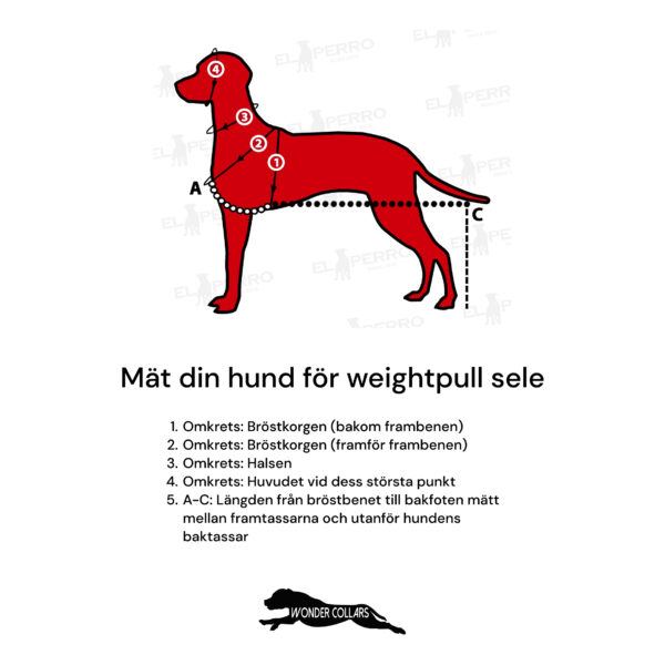 El Perro Måttanpassad Weightpull Sele X-Back 30 mm Weightpull selar Wonder Collars