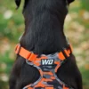 Wonderdog Comfy Walk Sele Orange Camo Selar Wonder Collars