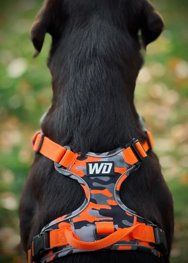 Wonderdog Comfy Walk Sele Orange Camo Selar Wonder Collars