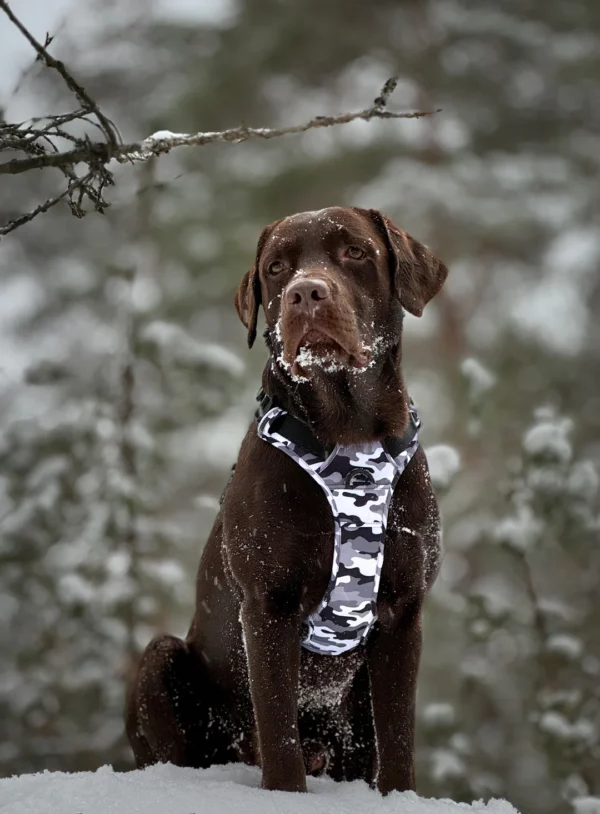 Wonderdog Comfy Walk Sele Black Camo Selar Wonder Collars