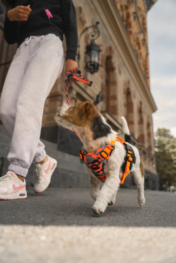 Wonderdog Comfy Walk Sele Orange Camo Selar Wonder Collars