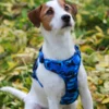 Wonderdog Comfy Walk Sele Blue Camo Selar Wonder Collars