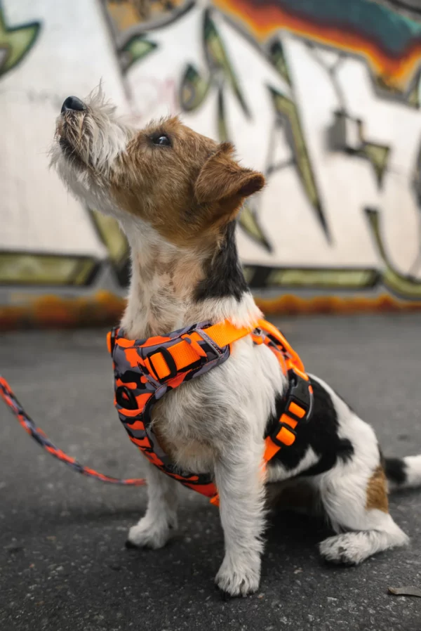 Wonderdog Comfy Walk Sele Orange Camo Selar Wonder Collars