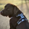 Wonderdog Comfy Walk Sele Black Camo Selar Wonder Collars